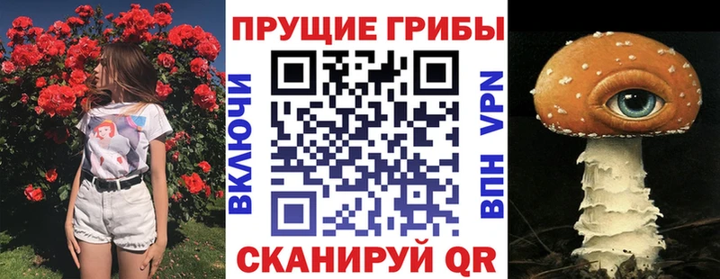 Галлюциногенные грибы Cubensis Карасук